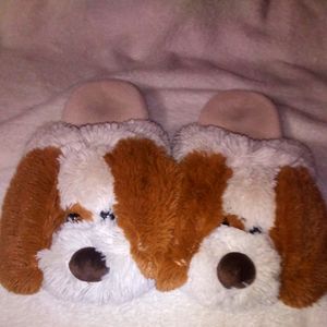Puppy house shoes